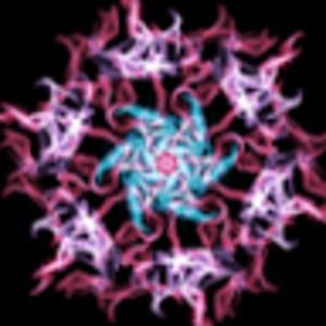 Meet your Posher, Eva